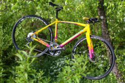 69 LTD Crux Disc-Ultegra-Roval_9