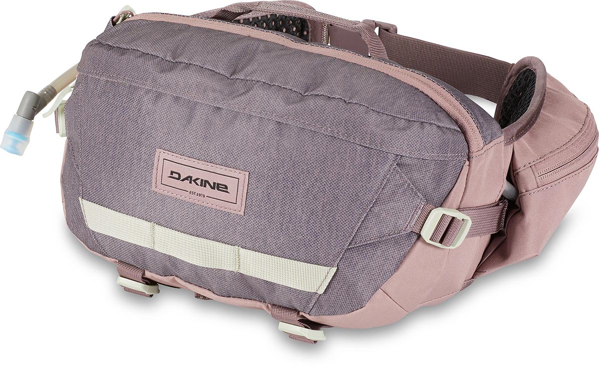 Dakine Hot Laps 5l Waist bag 2021 sparrow